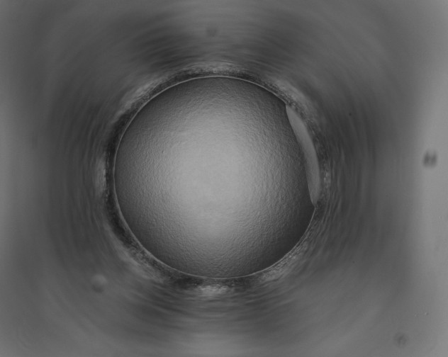 X0000094370158200711242007