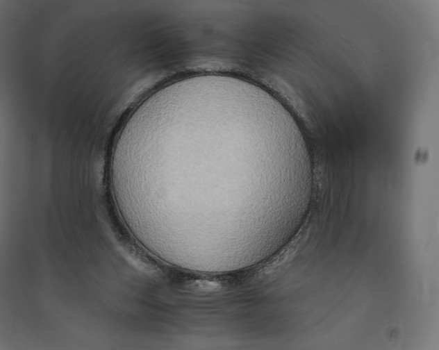 X0000094370159200711242007