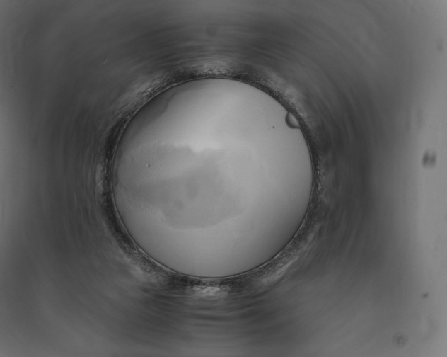 X0000094370161200711242007