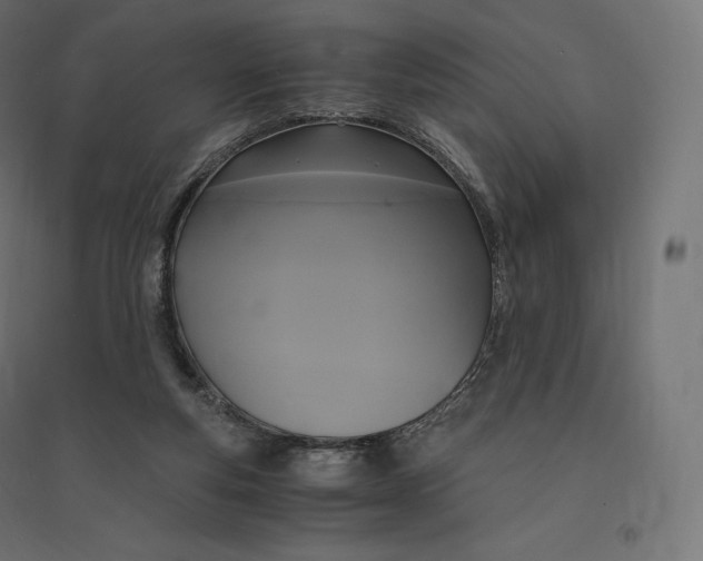 X0000094370163200711242007