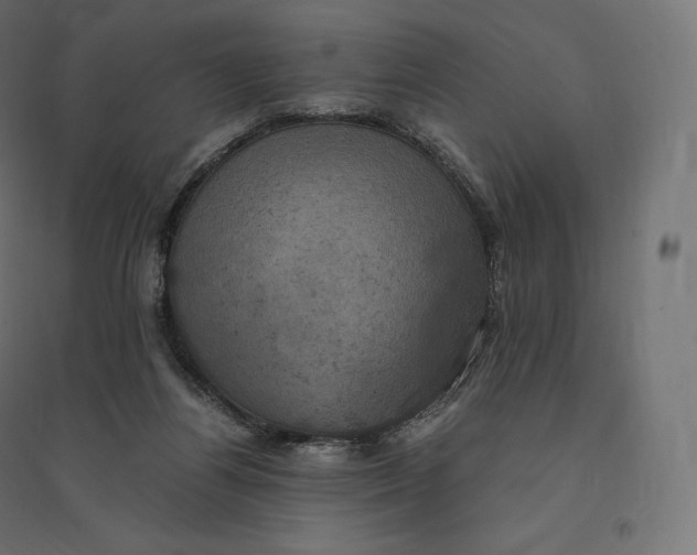 X0000094370164200711242007