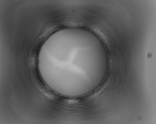 X0000094370165200711242007