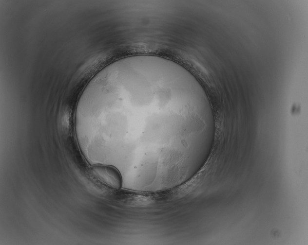 X0000094370166200711242008