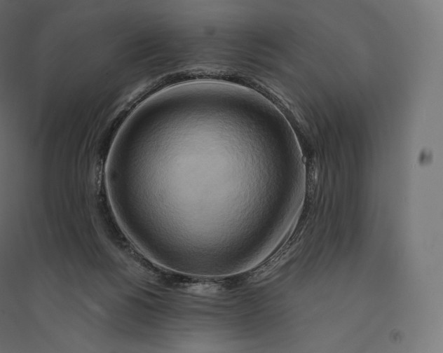 X0000094370168200711242008