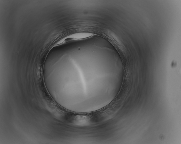 X0000094370169200711242008