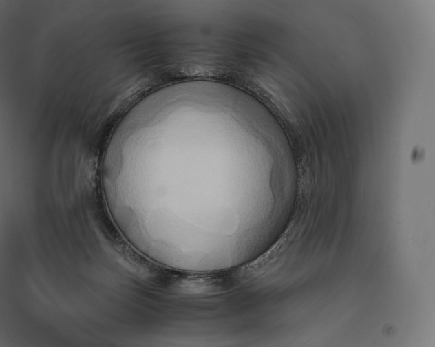 X0000094370171200711242008