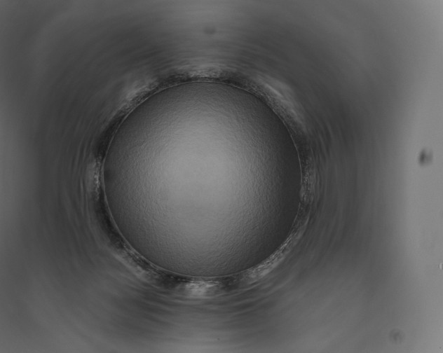 X0000094370172200711242008