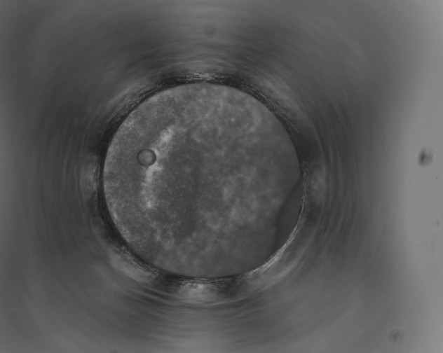 X0000094370174200711242008