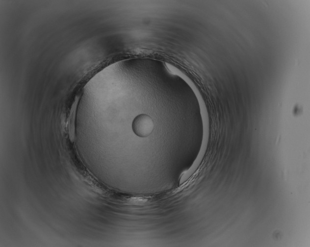 X0000094370176200711242008