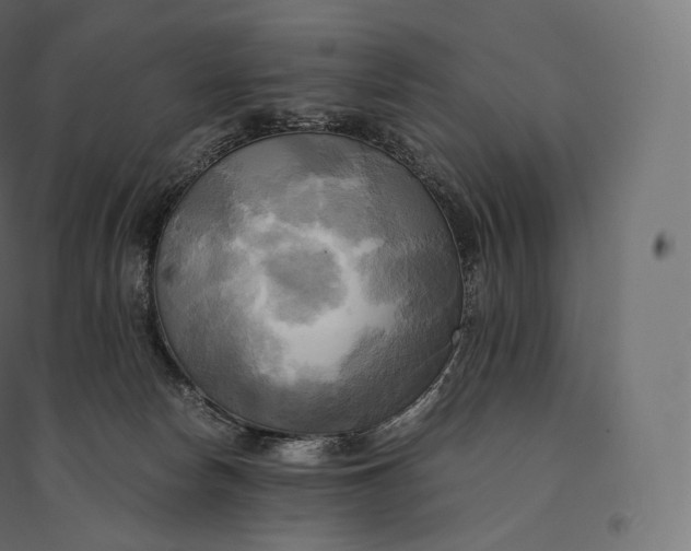 X0000094370178200711242008