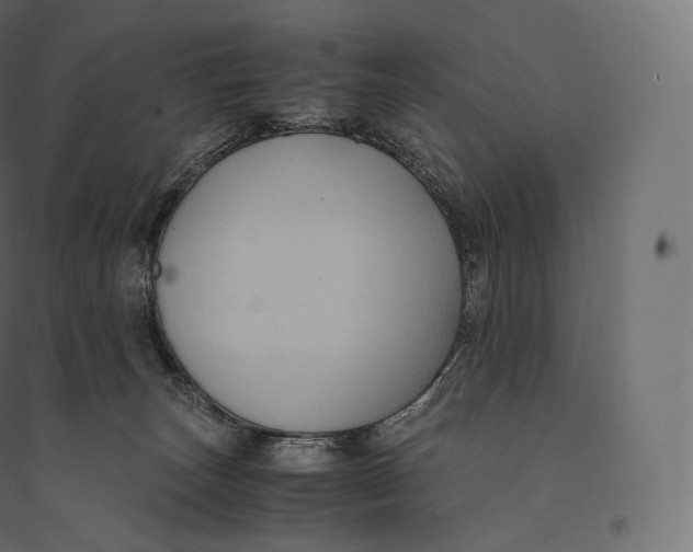 X0000094370179200711242008