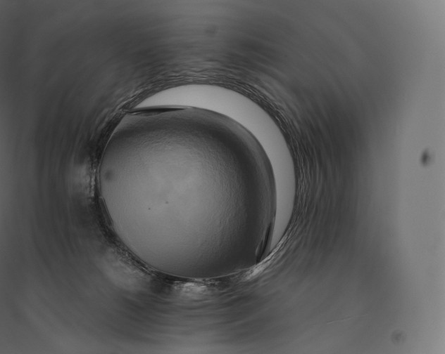 X0000094370180200711242008