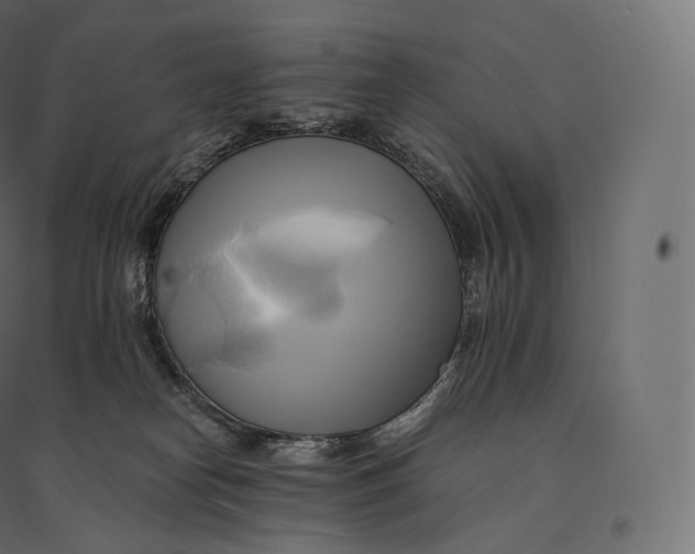 X0000094370182200711242008