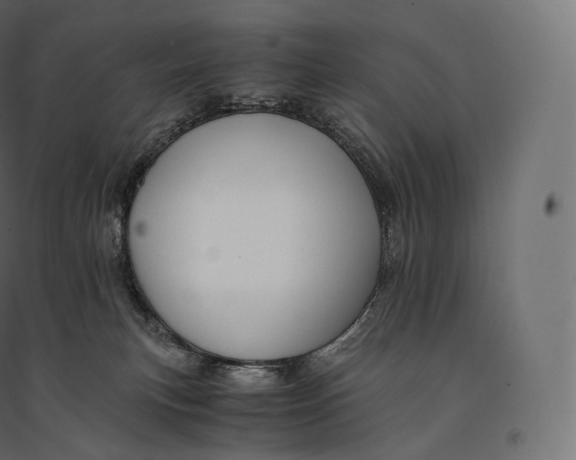 X0000094370183200711242008