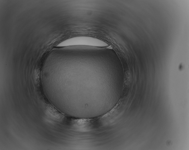 X0000094370184200711242008