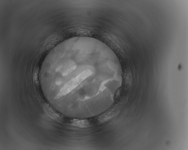 X0000094370185200711242008