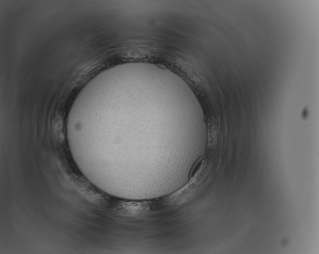 X0000094370187200711242008