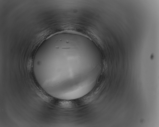 X0000094370189200711242008