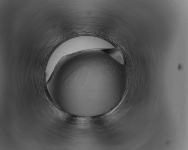 X0000094370192200711242008