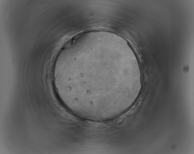 X0000094370193200711242007