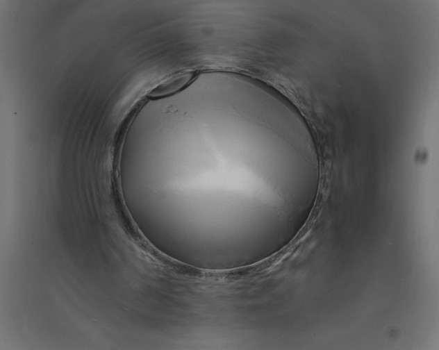 X0000094370194200711242007