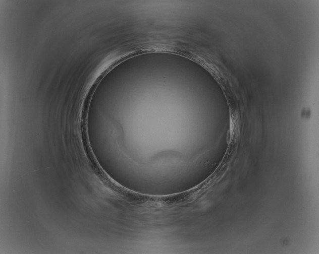 X0000094370195200711242007