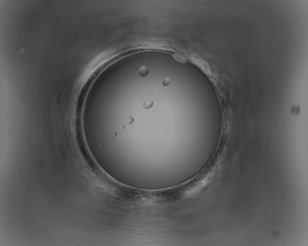 X0000094370199200711242007