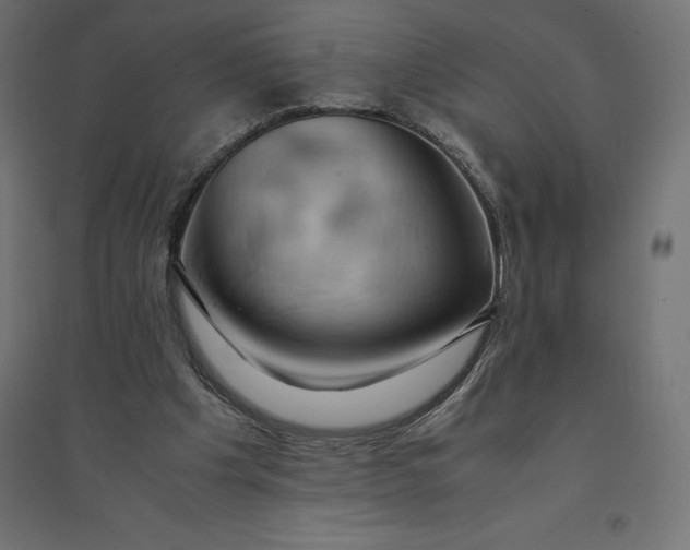 X0000094370201200711242007