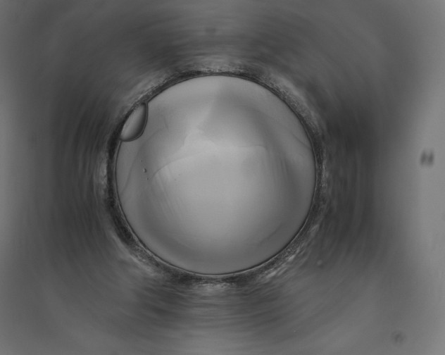 X0000094370202200711242007