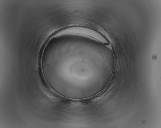 X0000094370203200711242007