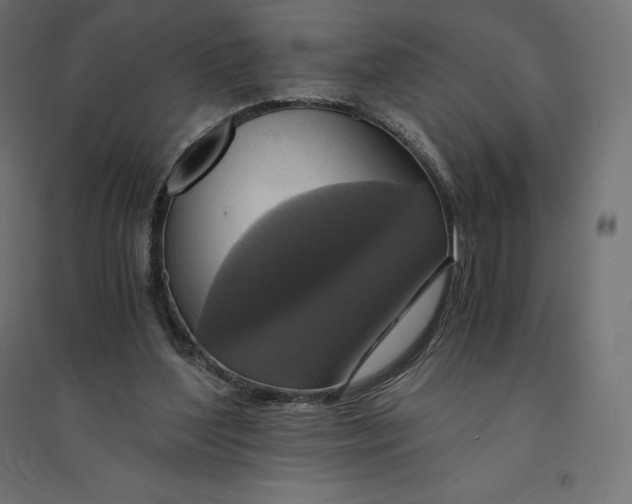 X0000094370204200711242007