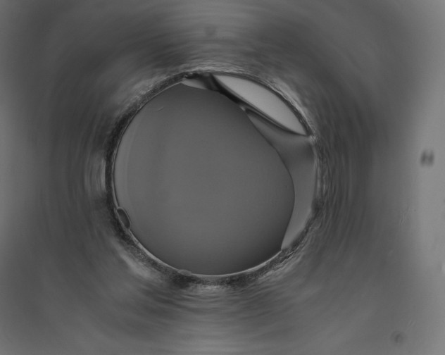 X0000094370205200711242007