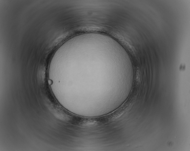 X0000094370206200711242007