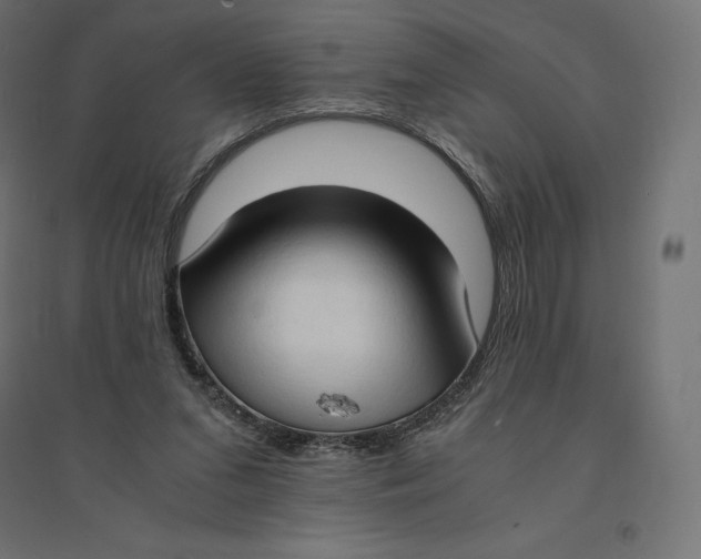 X0000094370207200711242007