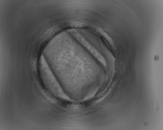 X0000094370209200711242007