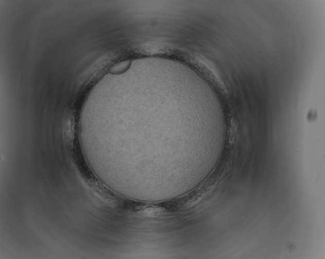 X0000094370210200711242007