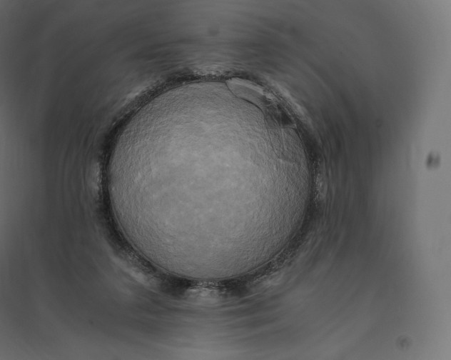 X0000094370211200711242007