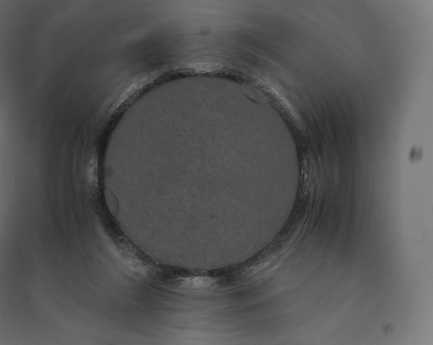 X0000094370212200711242007