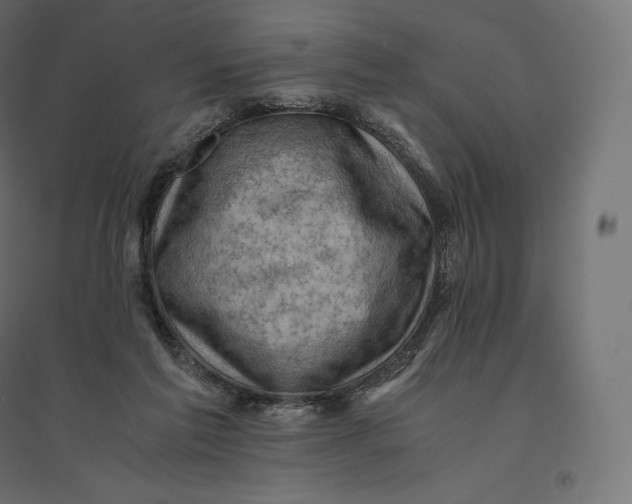 X0000094370213200711242007