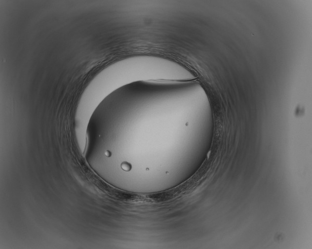 X0000094370215200711242007