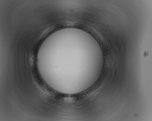 X0000094370216200711242007