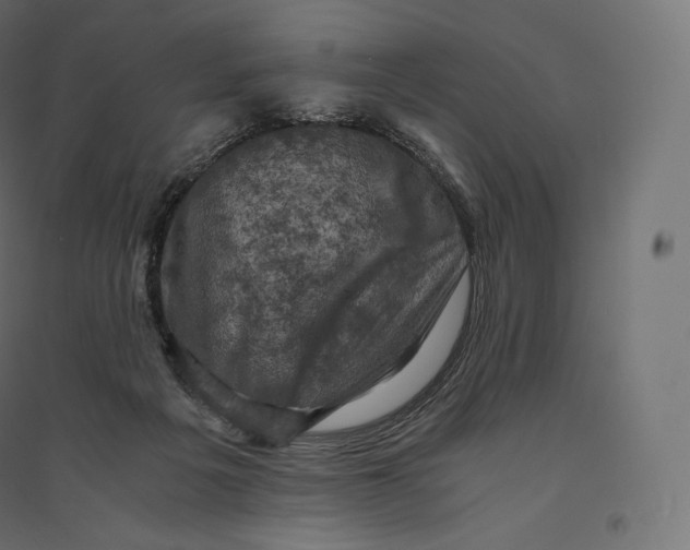 X0000094370217200711242007