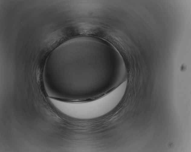 X0000094370219200711242007