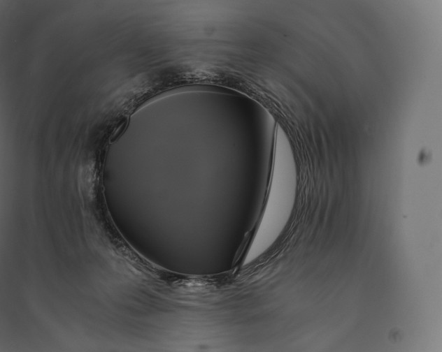 X0000094370223200711242007