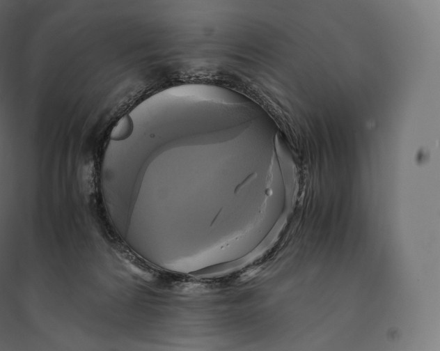 X0000094370224200711242007