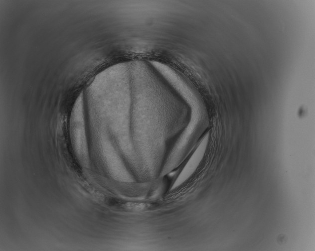 X0000094370225200711242007