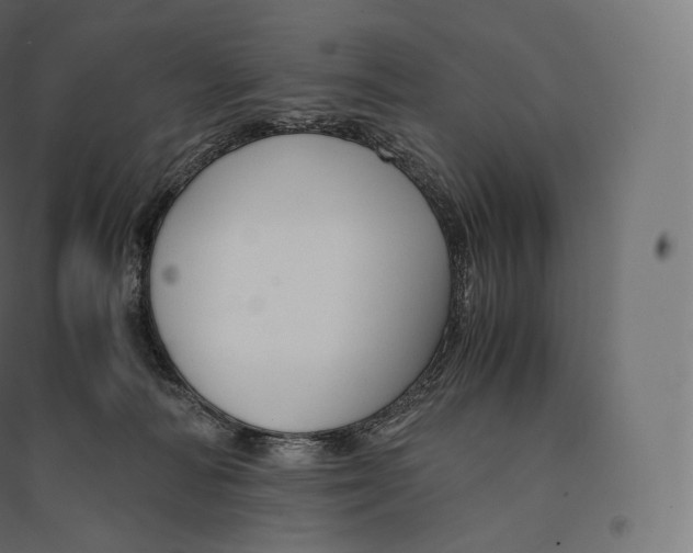 X0000094370226200711242007