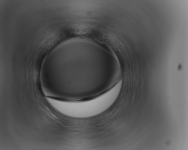 X0000094370227200711242007