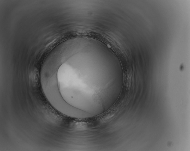 X0000094370228200711242007