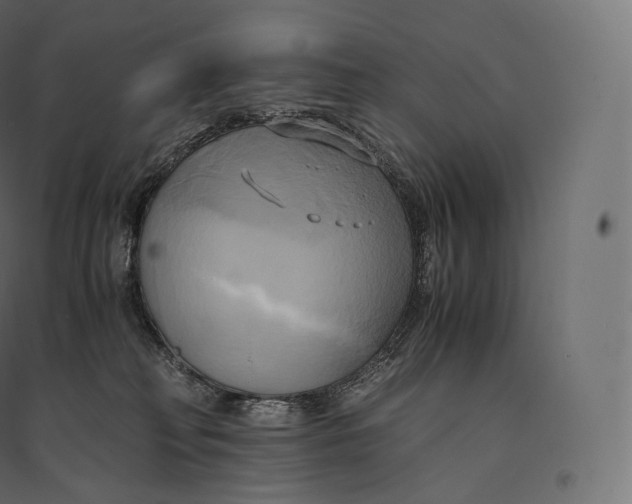 X0000094370230200711242007